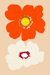 Flores naranjas y blancas