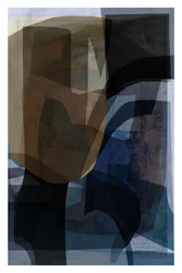 Abstracción del flujo orgánico