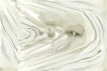 Abstracto orgánico y fluido