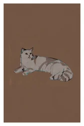 Gato gris relajado