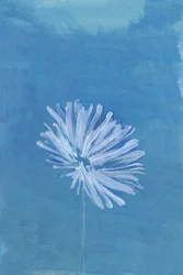 Flor azul serena