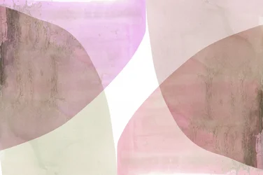 Curvas abstractas suaves