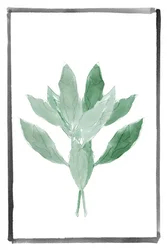 Verde suave botánico