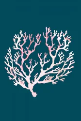 Rosa coral suave