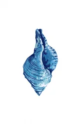 Concha azul en acuarela