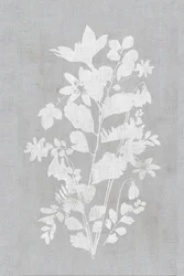 Silueta floral blanca
