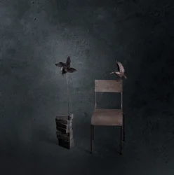 Pájaro oscuro, silla vacía