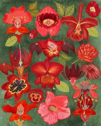 Jardín Botánico Rojo
