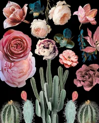 Cactus, flores, motivos botánicos