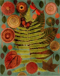 Helecho del bosque y mariposa