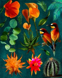 Aves y flores tropicales