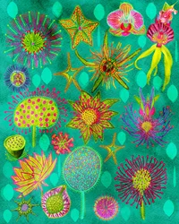 Un jardín botánico lleno de vida