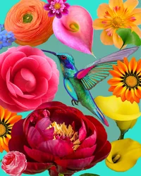 Colibrí entre flores de vivos colores