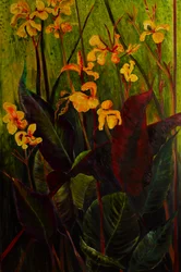 Canna Lily, 2017 (óleo sobre lienzo)