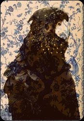 Loro negro 2, 2017