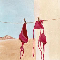 Bikinis del desierto
